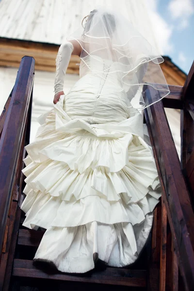 웨딩 드레스 — 스톡 사진