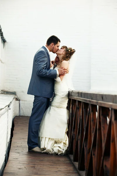 Sposi baciare — Foto Stock