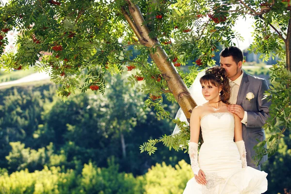 Recién casados felices y hermosos —  Fotos de Stock
