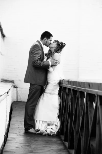 Newlyweds kissing — Stock Photo, Image