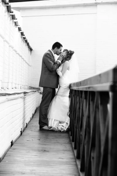 Newlyweds kissing — Stock Photo, Image
