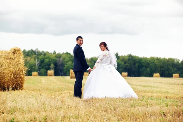 Jonggehuwde paar in veld — Stockfoto