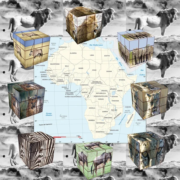 Podróż do Afryki — Zdjęcie stockowe