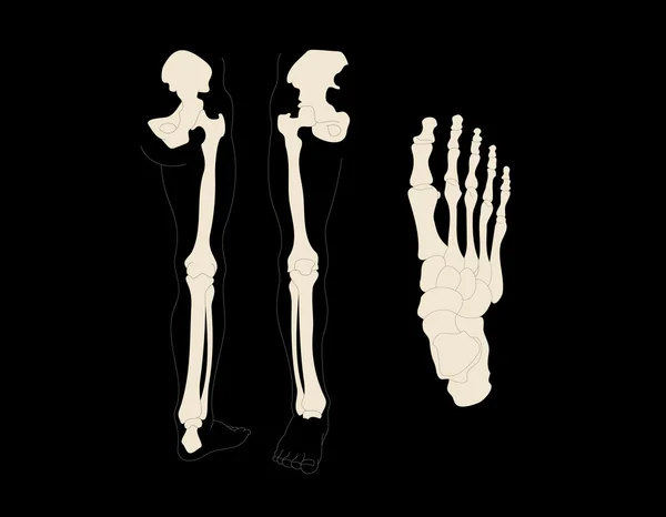 Beine und Fuß — Stockfoto