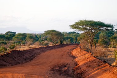 Red road in the african savanna clipart