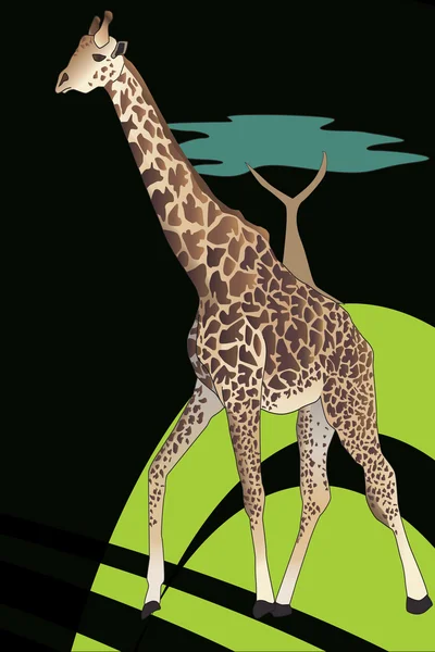 Giraffe (giraffen Giraffe) — Stockfoto