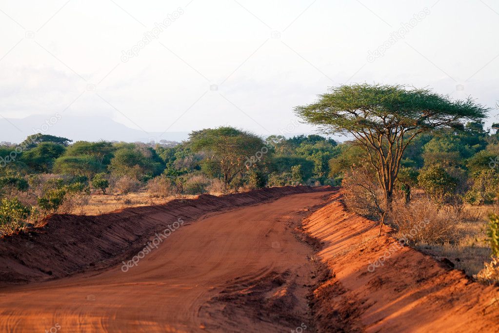 Red road in the african savanna