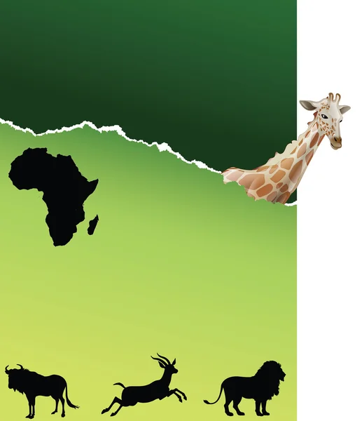 Safari in Africa — Foto Stock