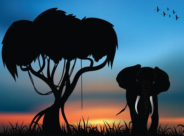 Африканская саванна и слон — стоковое фото