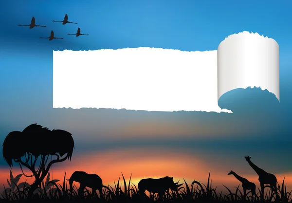 African wildlife at the sunset — Stock Photo, Image