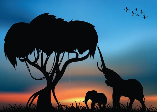 코끼리와 아프리카 사바나 — 스톡 사진