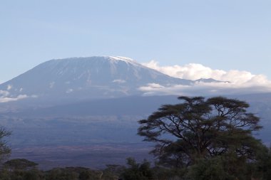 Kilimanjaro Dağı