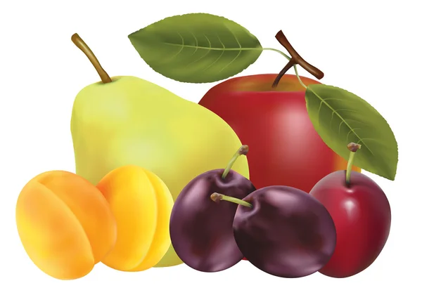 stock image Fruits