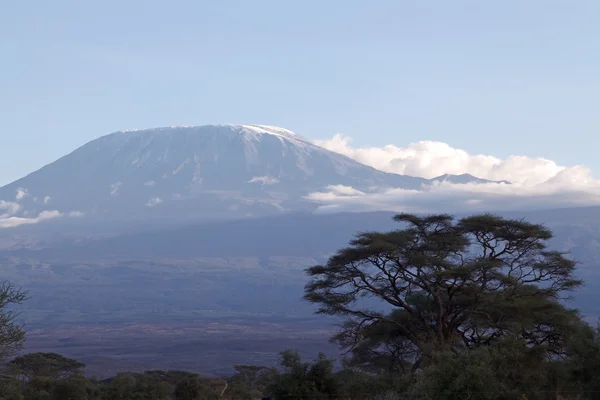 Kilimanjaro mountain — Stockfoto