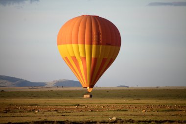 Afrika savana sıcak hava balonu