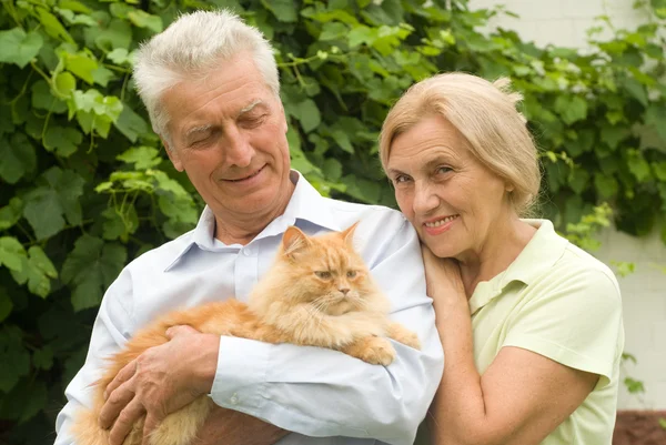 Casal de idosos com gato — Fotografia de Stock