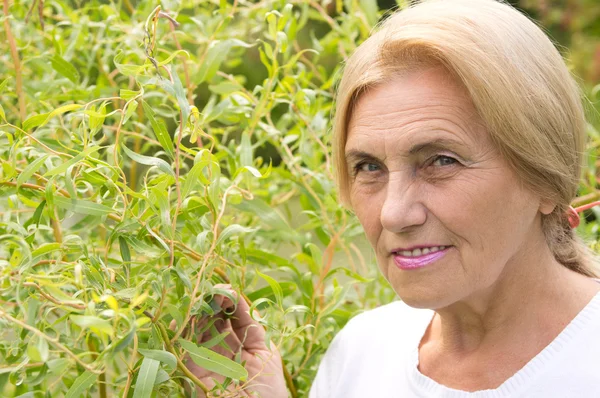 Aged woman at plants — Stock Photo, Image