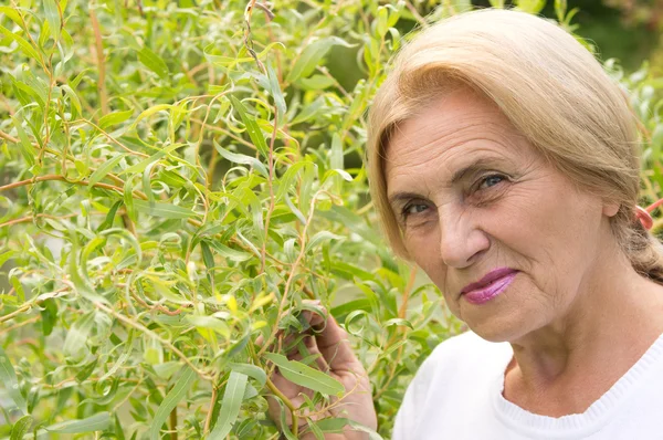 Aged woman at plants — Stock Photo, Image