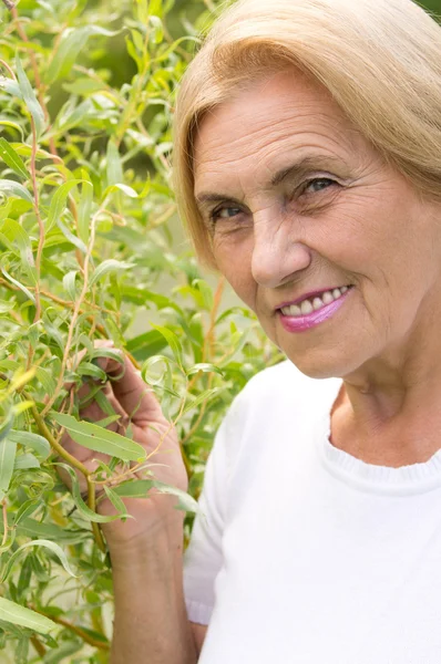Yaşlı kadın bitkiler — Stok fotoğraf