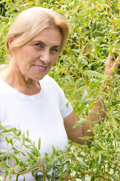 Old woman at plants — Stock Photo, Image