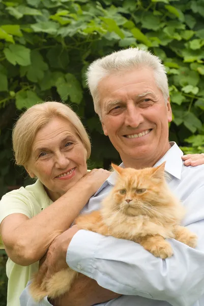 Elderly couple with cat — Stock Photo, Image