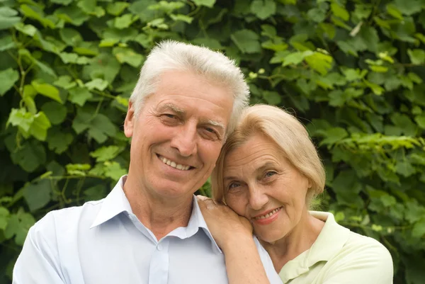 Tatlı yaşlı çift — Stok fotoğraf