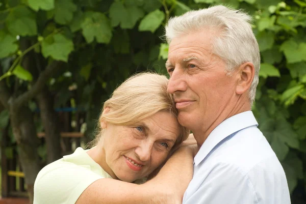 Cute old couple at nature — Stock Photo, Image
