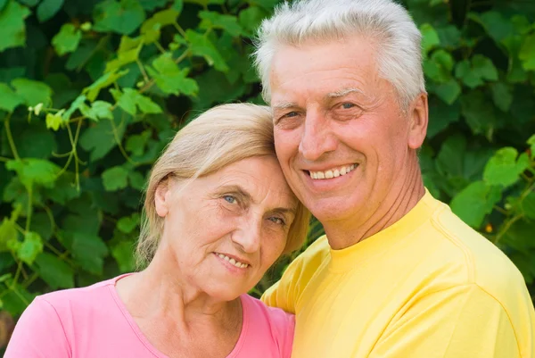 Aged cute couple — Stock Photo, Image