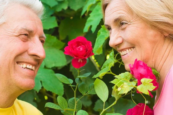 Stock image Aged cute couple