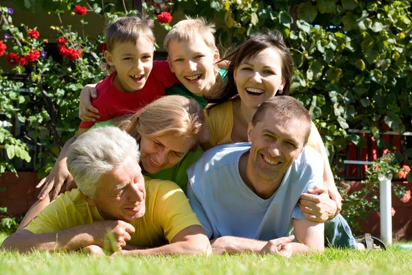 Cute family on grass — Stock Photo, Image