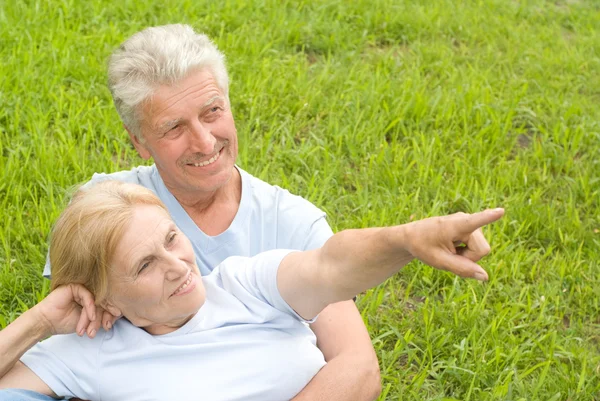 Old couple on grass — Stock Photo, Image
