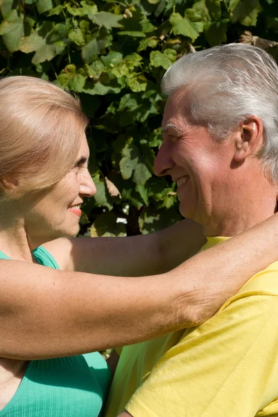 Retrato de casal velho ao ar livre — Fotografia de Stock