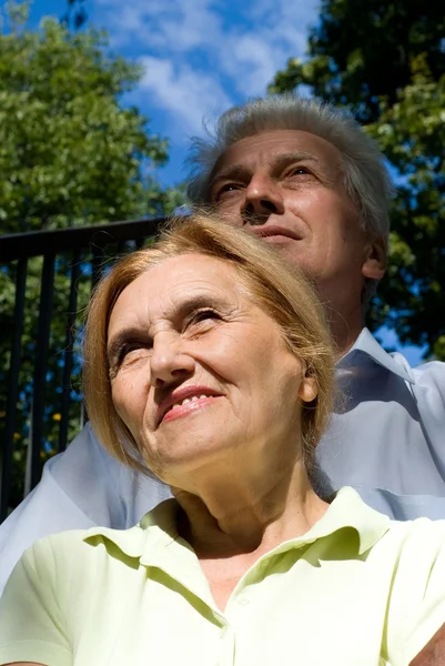 Aged couple at a park — Stock Photo, Image