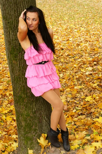 Girl at tree — Stock Photo, Image