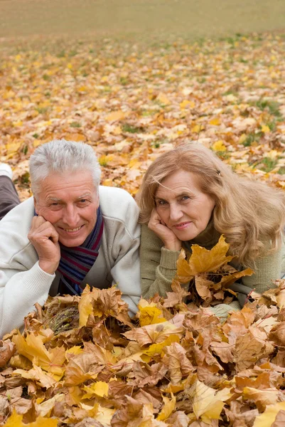 Old couple in the park — Stock Photo, Image
