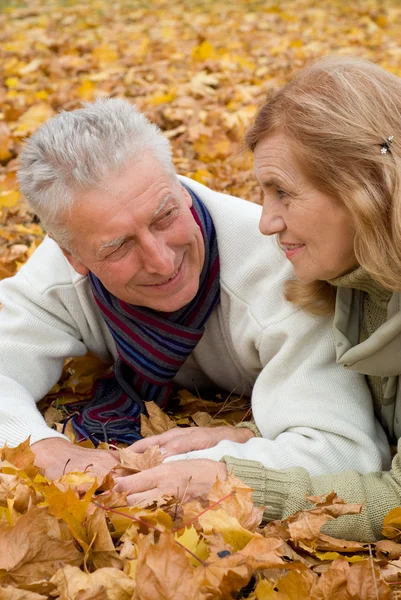 Old couple on leaves — Stock Photo, Image