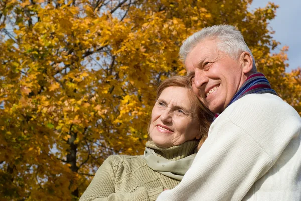 Old couple at the park — Stock Photo, Image