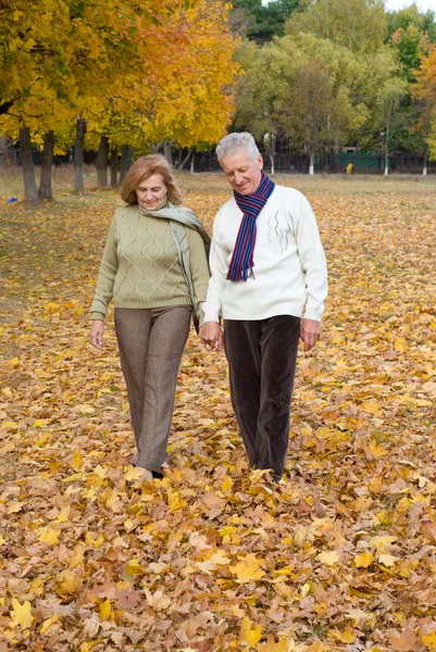 Ouder paar bij autumn forest — Stockfoto