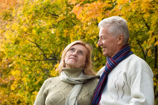 stock image Elderly couple portrait