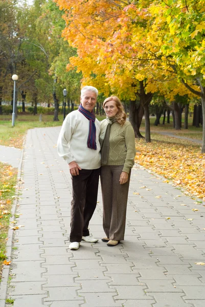公園で老夫婦 — ストック写真