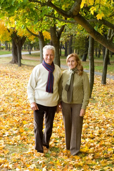 Altes Paar im Park — Stockfoto
