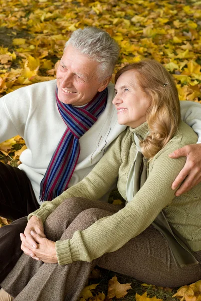 公園で幸せな高齢者のカップル — ストック写真