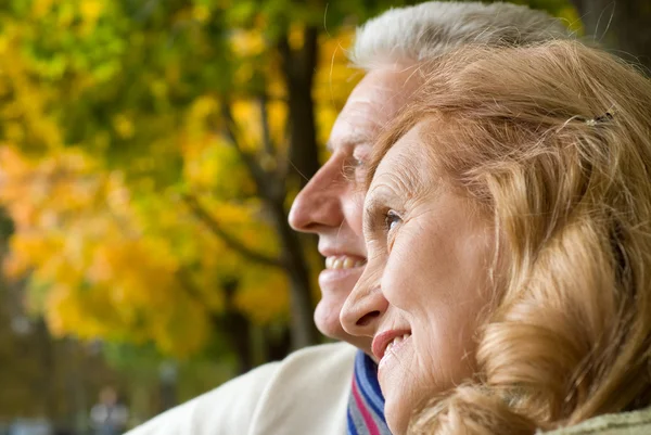 Feliz casal idoso no parque — Fotografia de Stock