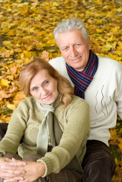 Aged couple in park — Stock Photo, Image