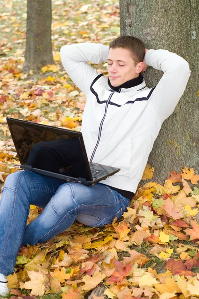 나무에서 노트북으로 남자 — 스톡 사진