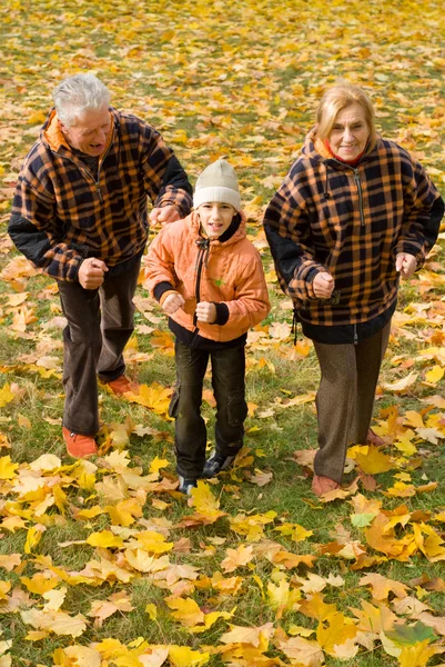Großeltern mit Kind in der Natur — Stockfoto