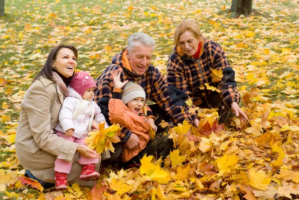 Family playing at nature — Stock Photo, Image