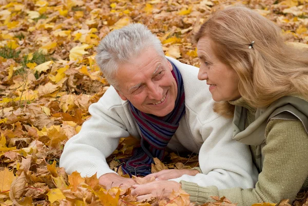 Idős házaspár a levelek — Stock Fotó