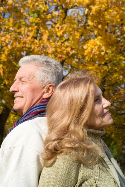 Couple âgé à la forêt d'automne — Photo
