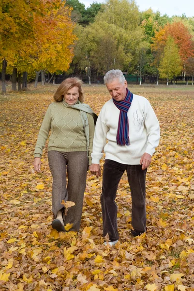 Ouder paar bij autumn forest — Stockfoto